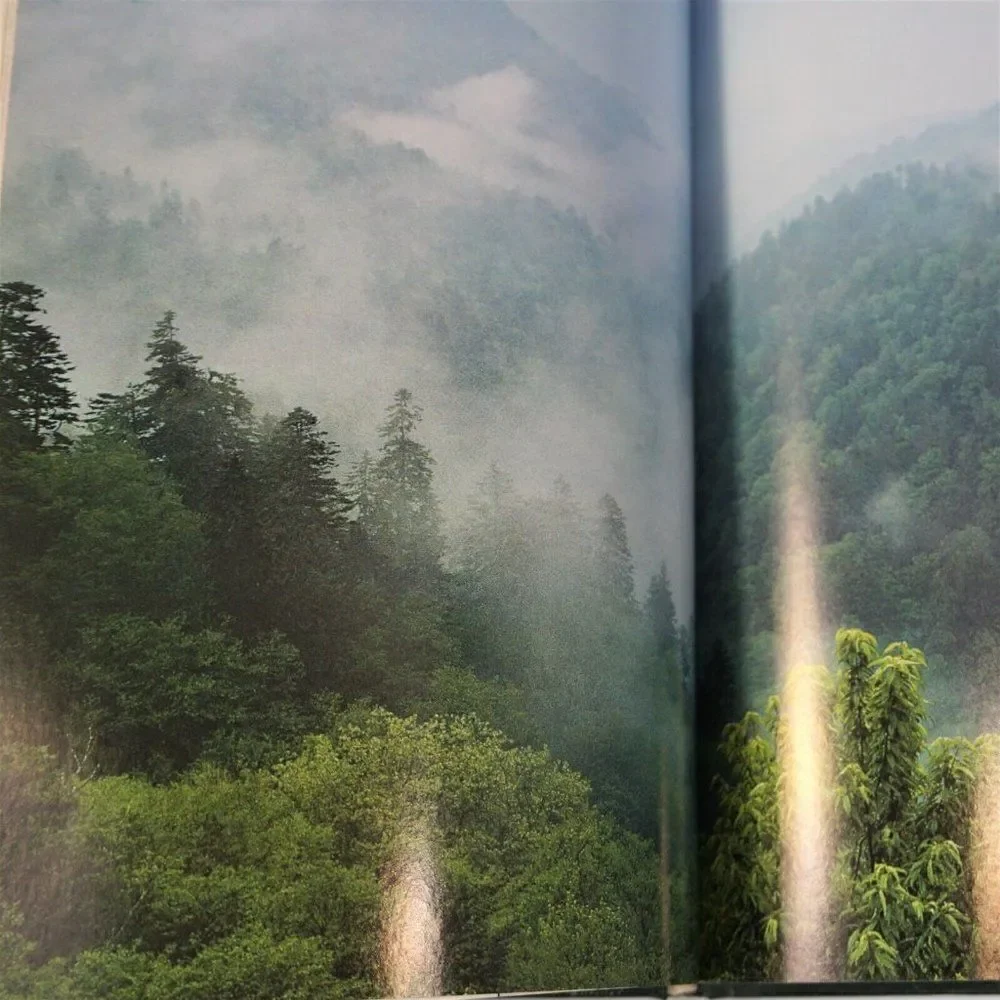 Mountain Adventure  Exploring the Appalachian Trail By Ron Fisher 1988 HC